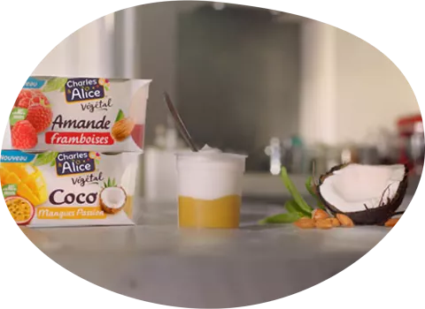 charles et alice desserts végétaux bicouche lait de coco