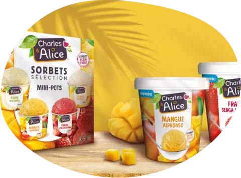 C&A - Sorbets