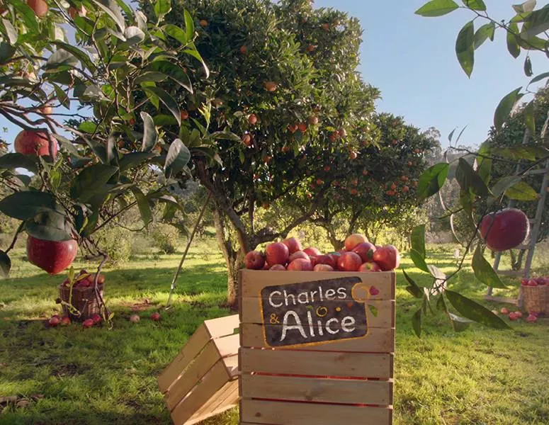 bon gout des fruits charles et alice